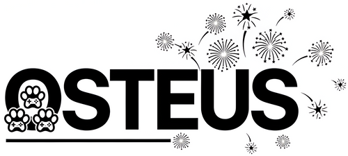 OSTEUS 