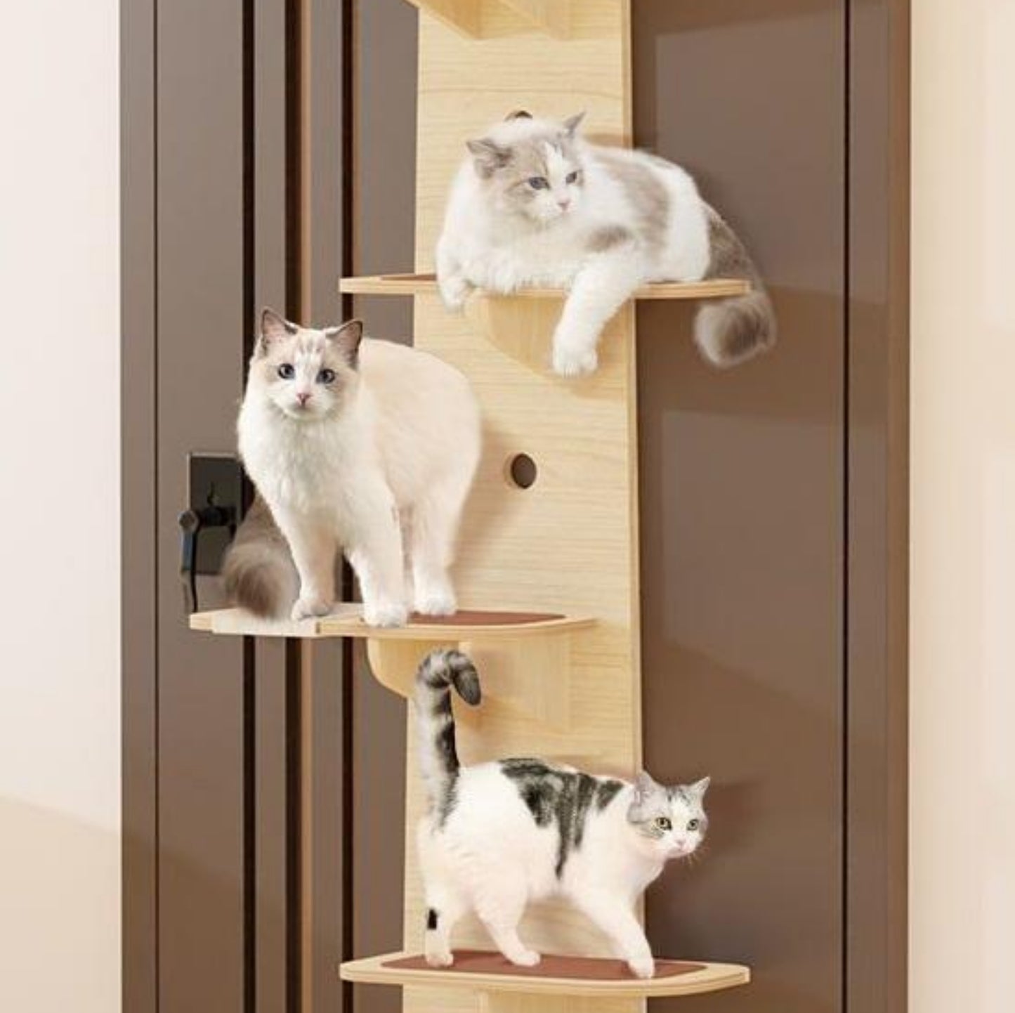 OSTEUS™ Solid Wood Eco-Friendly Hanging Door Cat Climbing Frame 4-Level Multi-Grid Jumping Platform